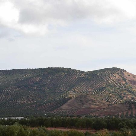 Finca El Vizconde Naturaleza Con Tus Hijos Arquillos Екстер'єр фото