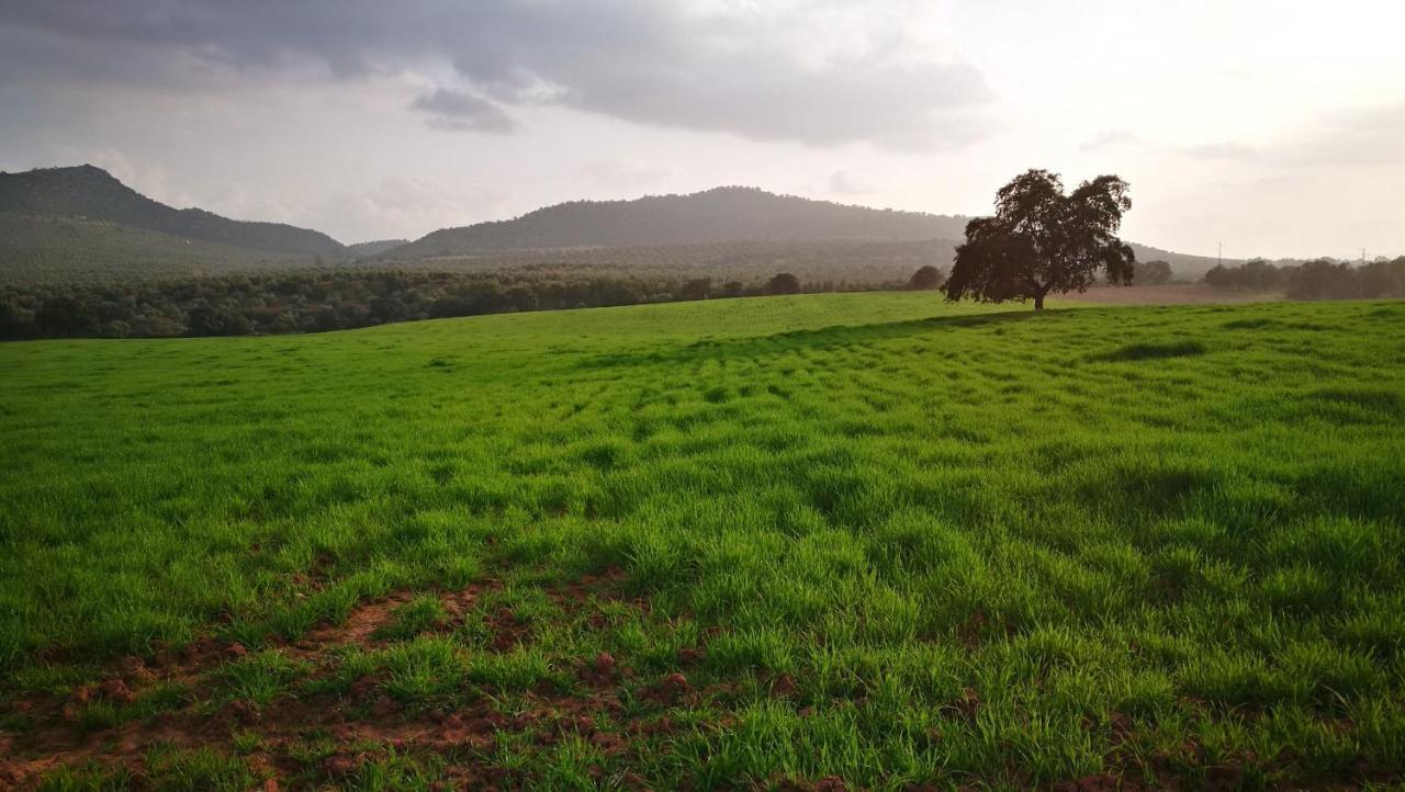 Finca El Vizconde Naturaleza Con Tus Hijos Arquillos Екстер'єр фото