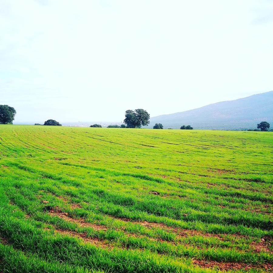 Finca El Vizconde Naturaleza Con Tus Hijos Arquillos Екстер'єр фото