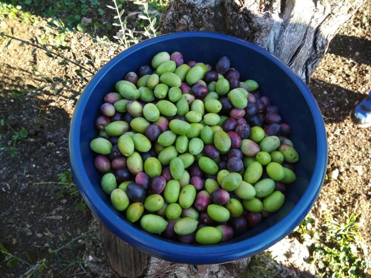 Finca El Vizconde Naturaleza Con Tus Hijos Arquillos Екстер'єр фото
