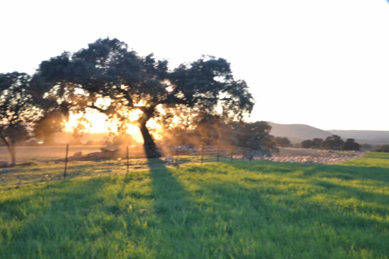 Finca El Vizconde Naturaleza Con Tus Hijos Arquillos Екстер'єр фото