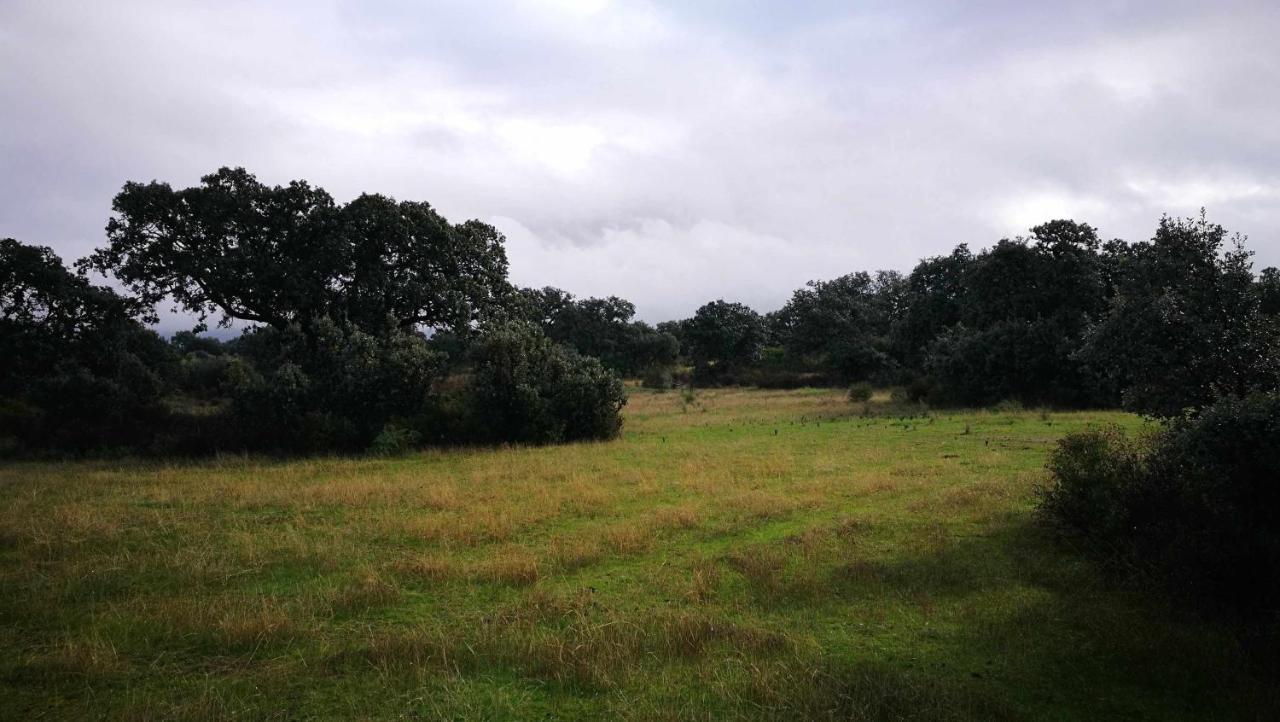 Finca El Vizconde Naturaleza Con Tus Hijos Arquillos Екстер'єр фото