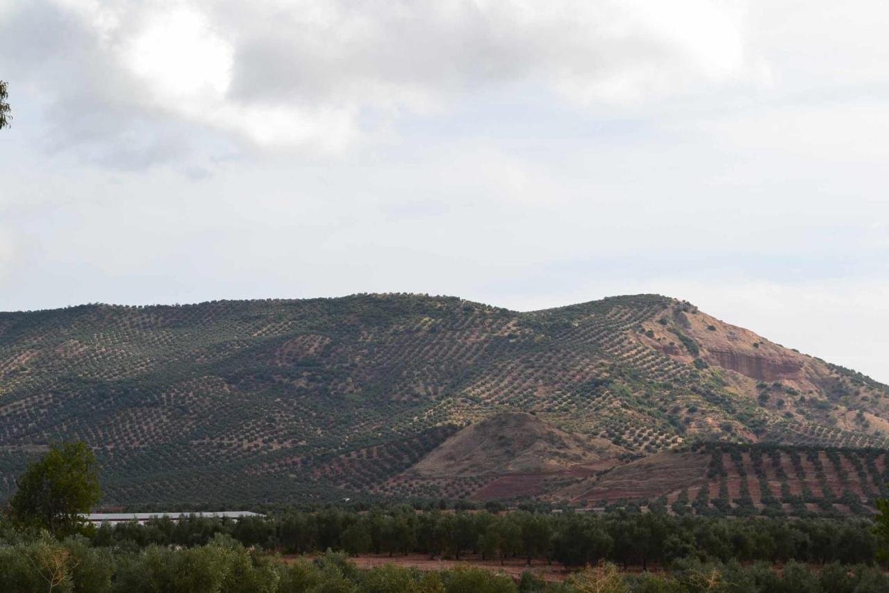 Finca El Vizconde Naturaleza Con Tus Hijos Arquillos Екстер'єр фото