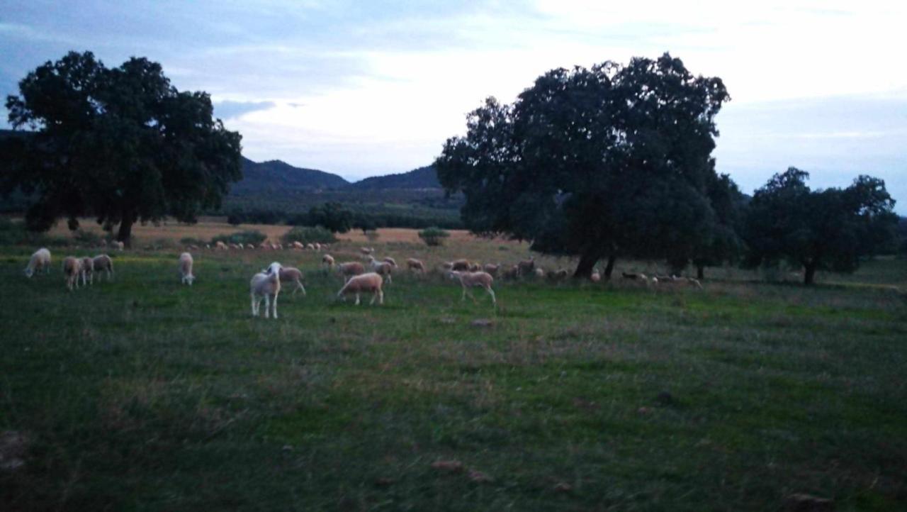 Finca El Vizconde Naturaleza Con Tus Hijos Arquillos Екстер'єр фото